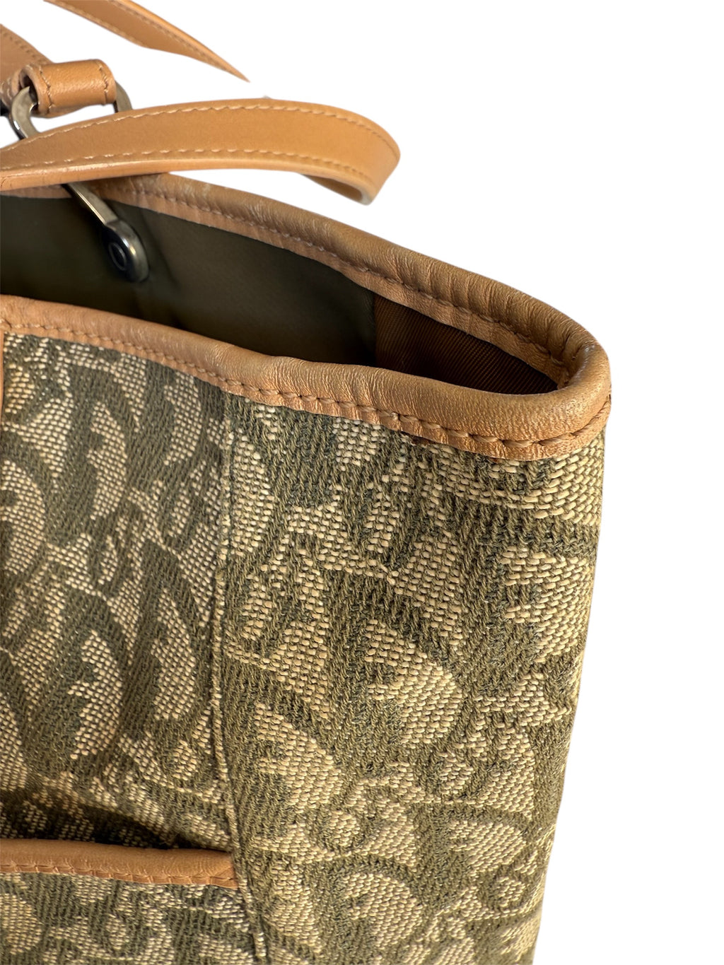 Christian Dior Trotter Green Tote Bag