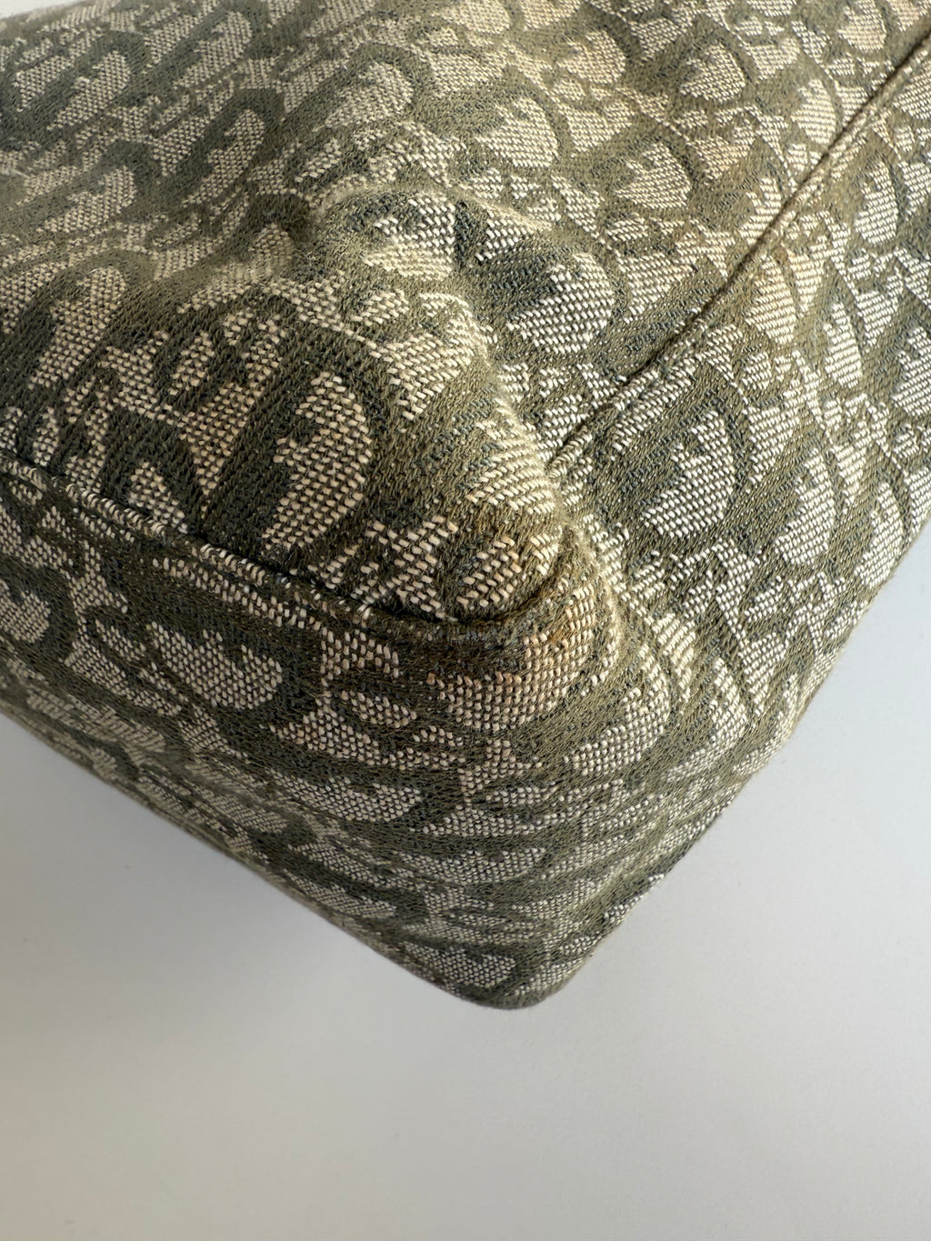 Christian Dior Trotter Green Tote Bag