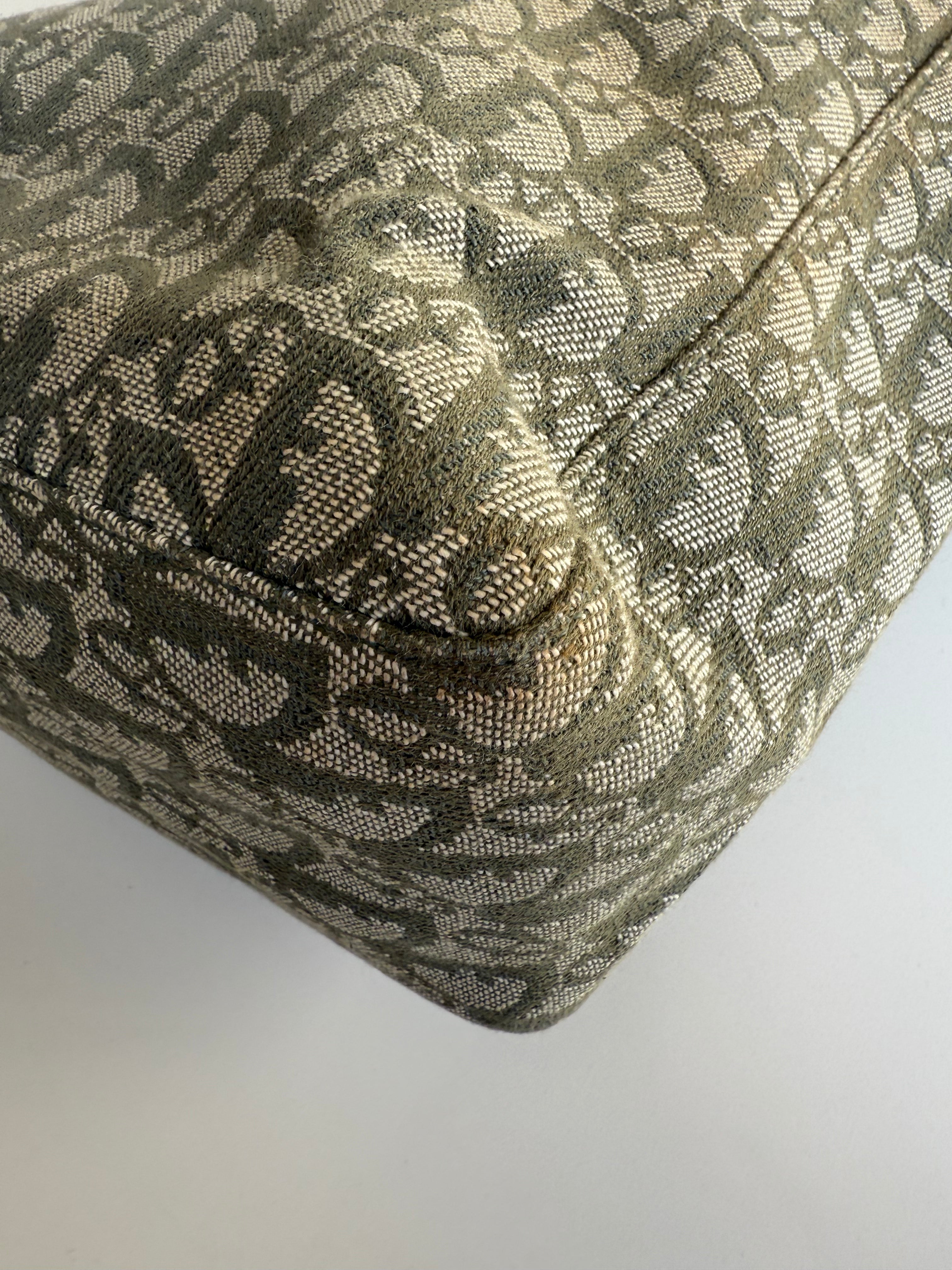 Christian Dior Trotter Green Tote Bag