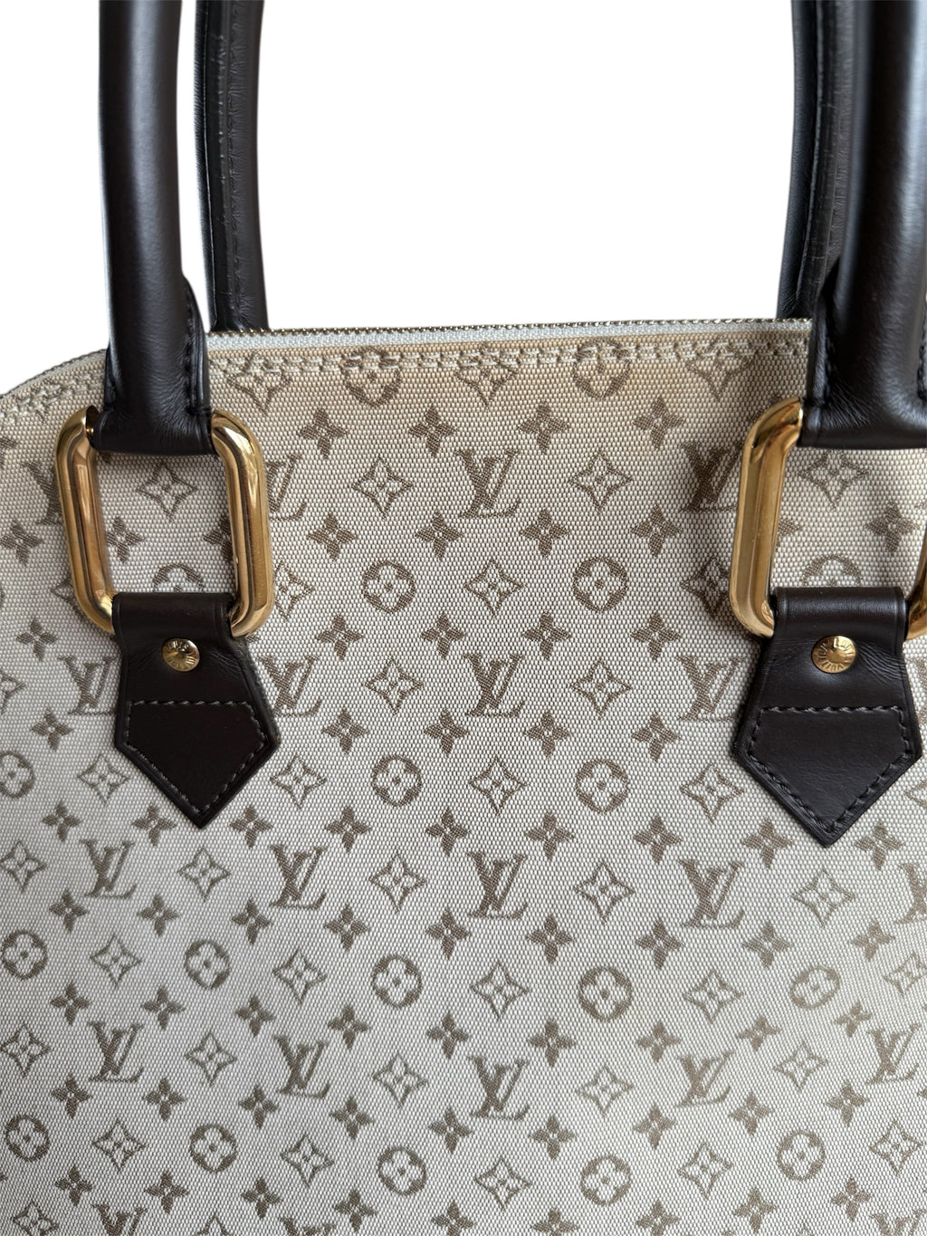 Louis Vuitton Mini Lin Alma Tall