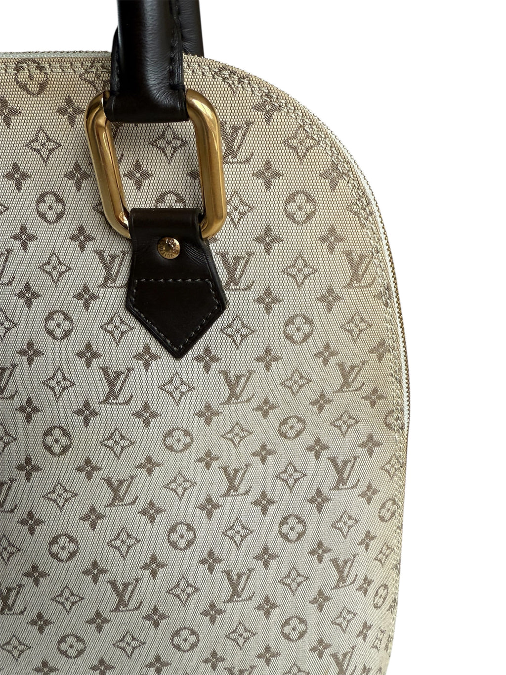 Louis Vuitton Mini Lin Alma Tall