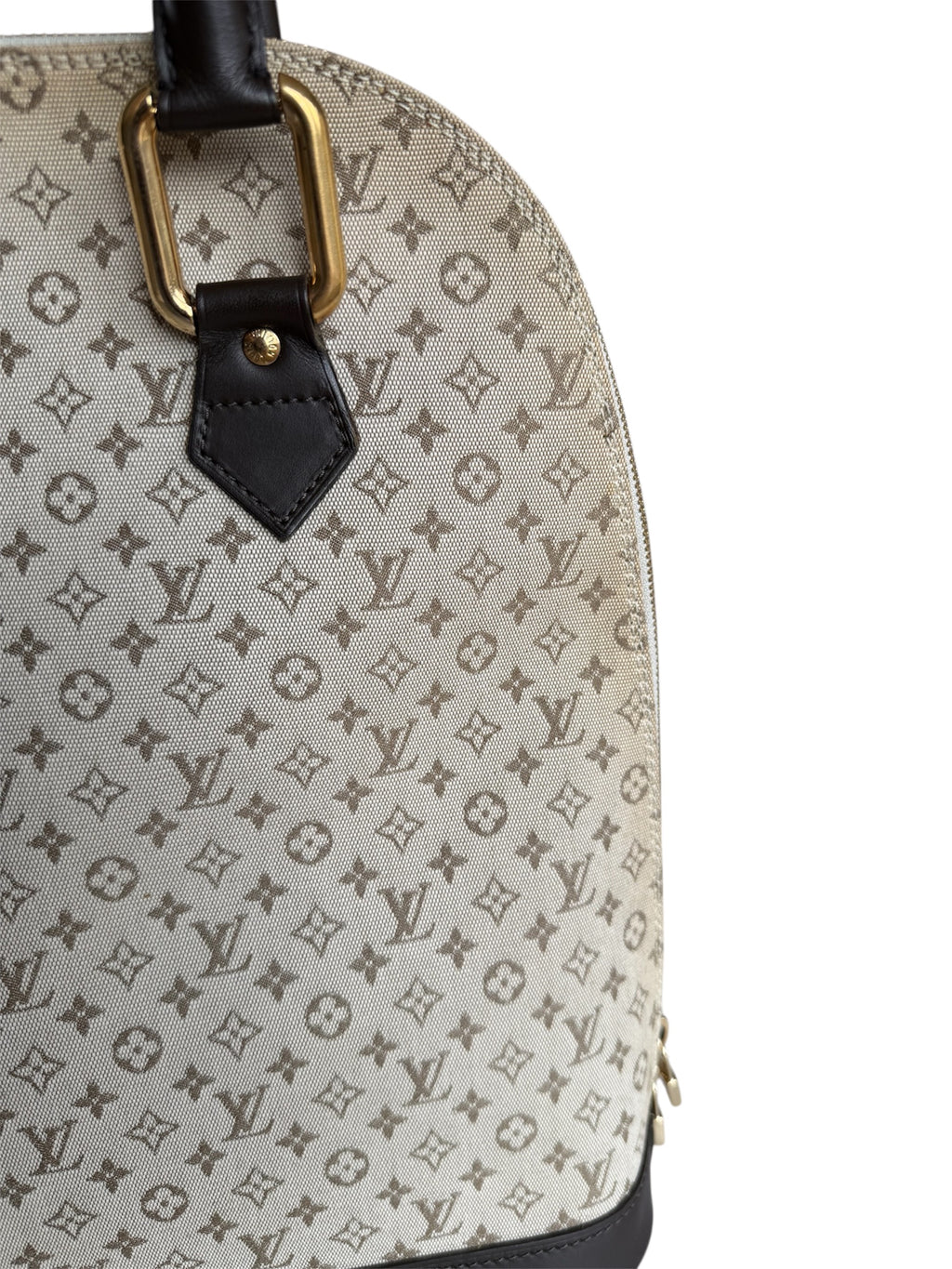 Louis Vuitton Mini Lin Alma Tall