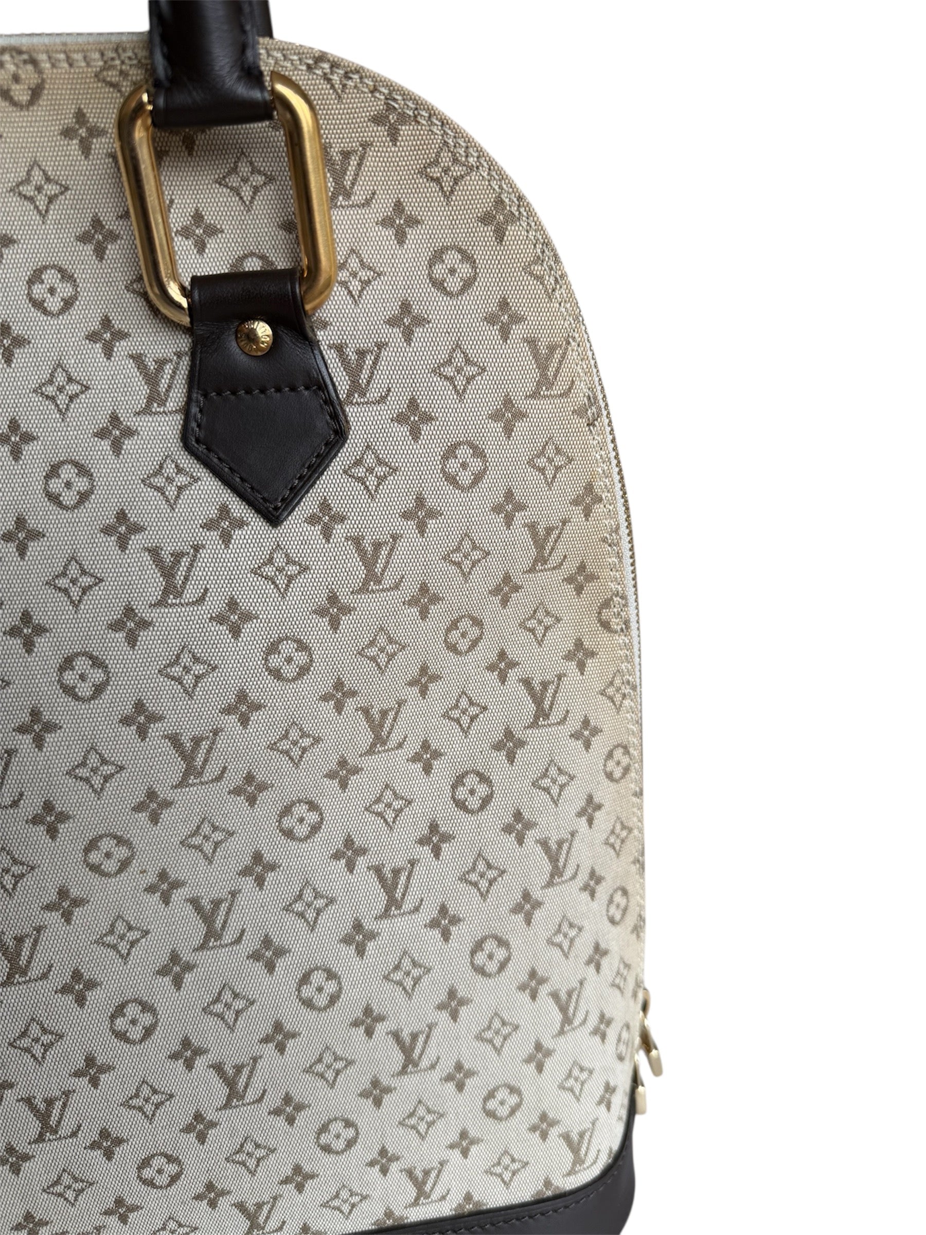 Louis Vuitton Mini Lin Alma Tall