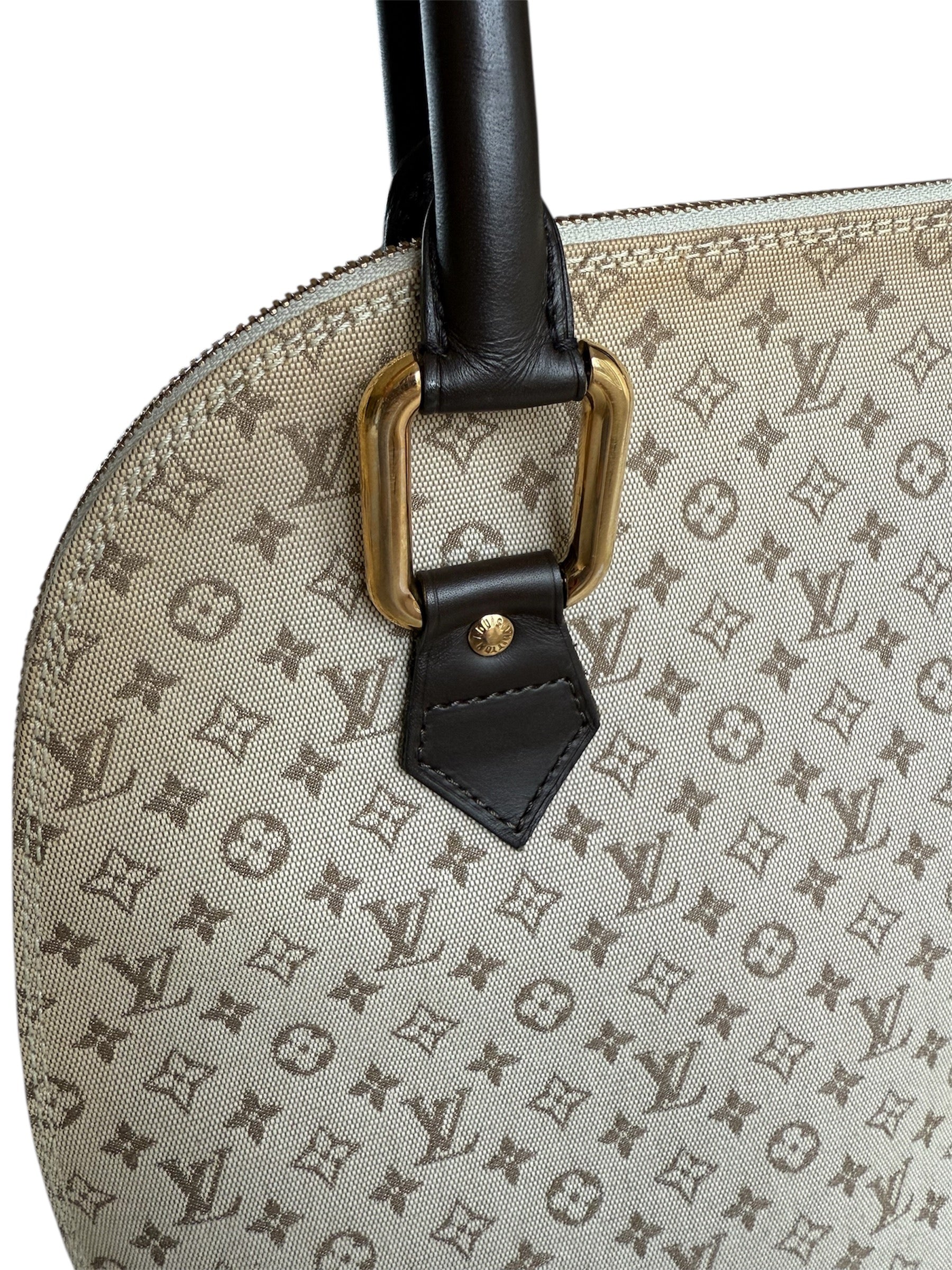 Louis Vuitton Mini Lin Alma Tall