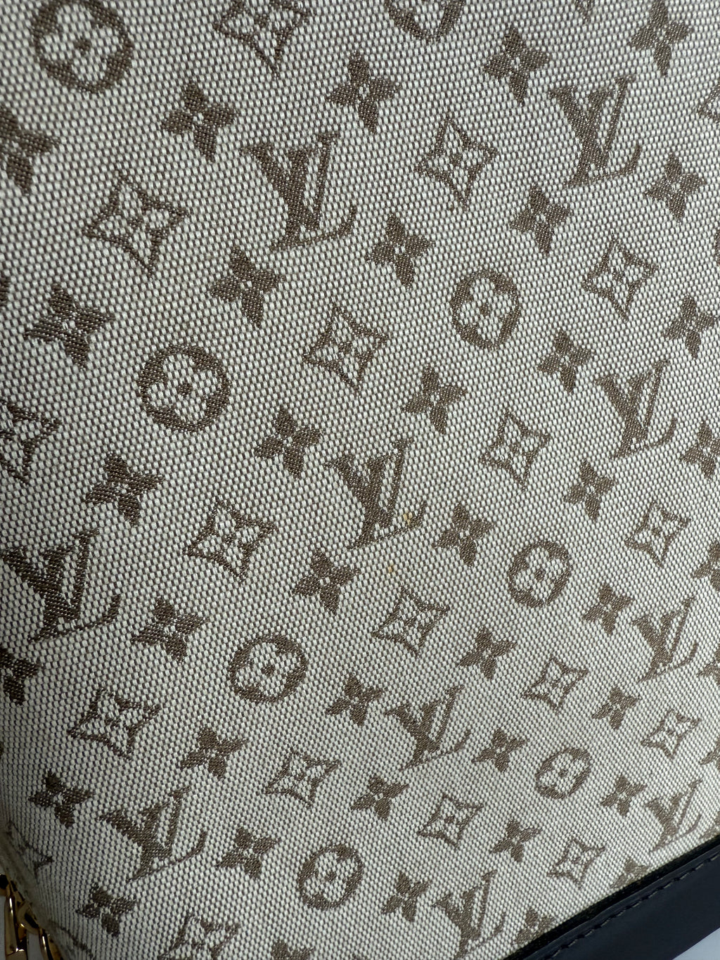 Louis Vuitton Mini Lin Alma Tall