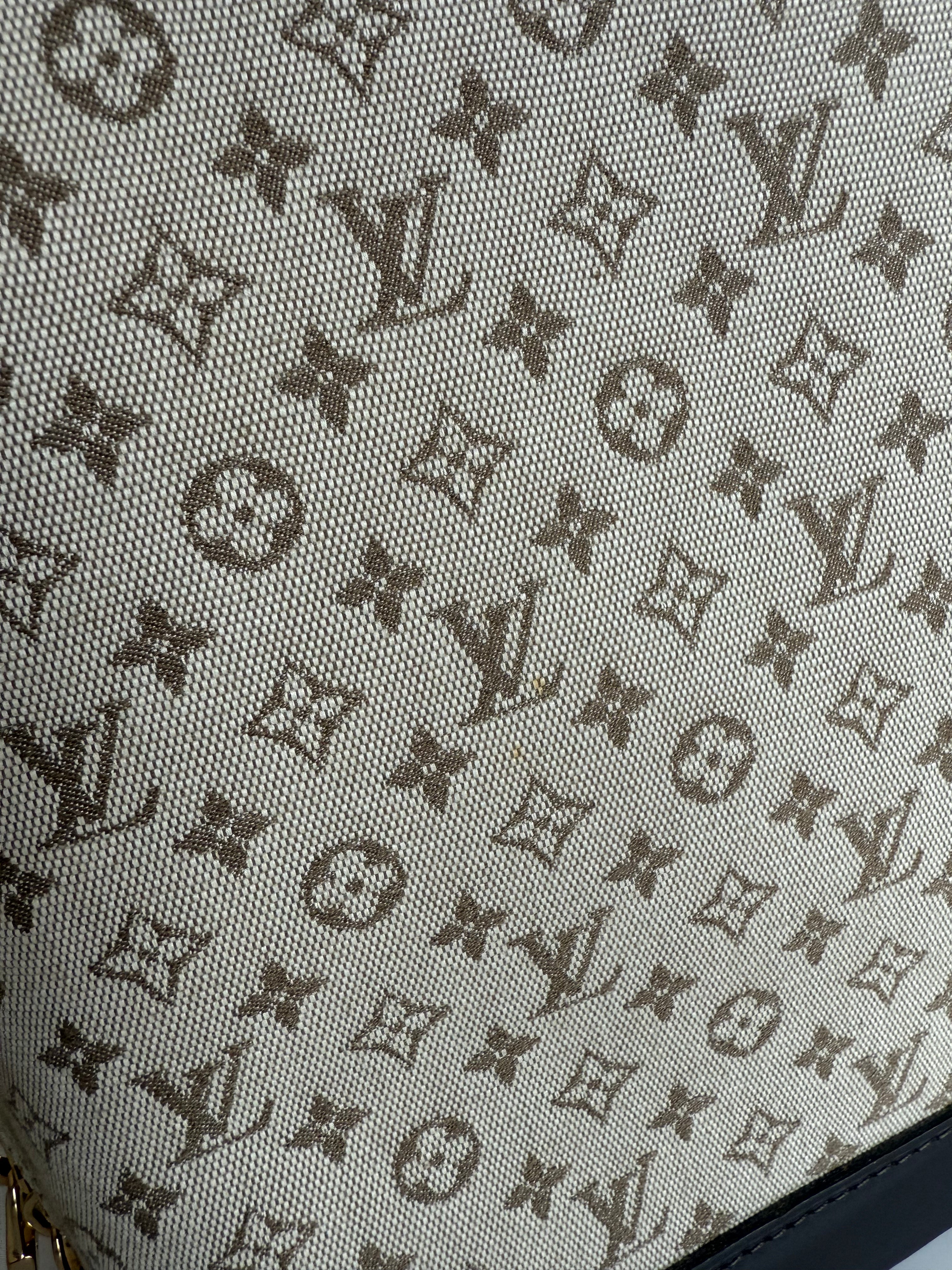 Louis Vuitton Mini Lin Alma Tall