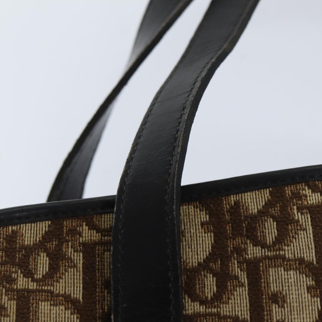 Christian Dior Trotter Canvas Hand Bag