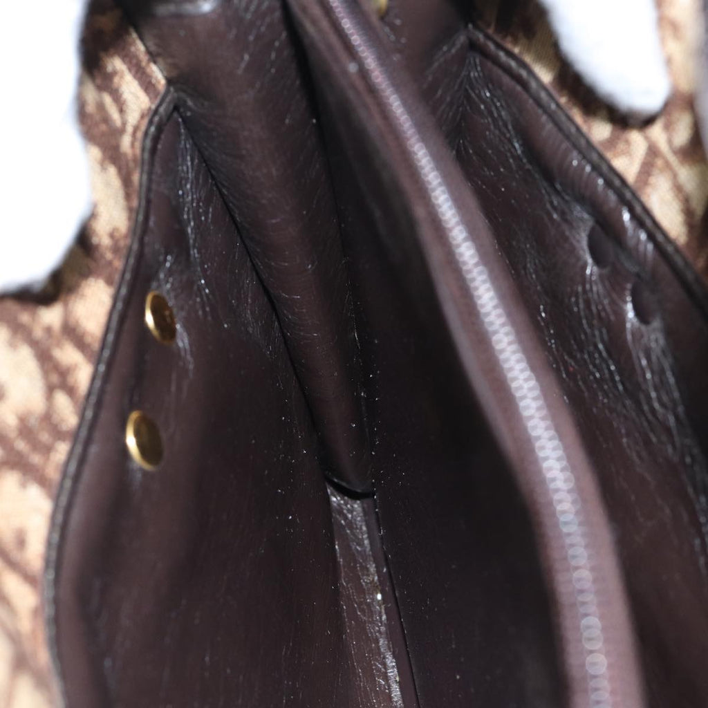 Christian Dior Trotter Canvas Hand Bag