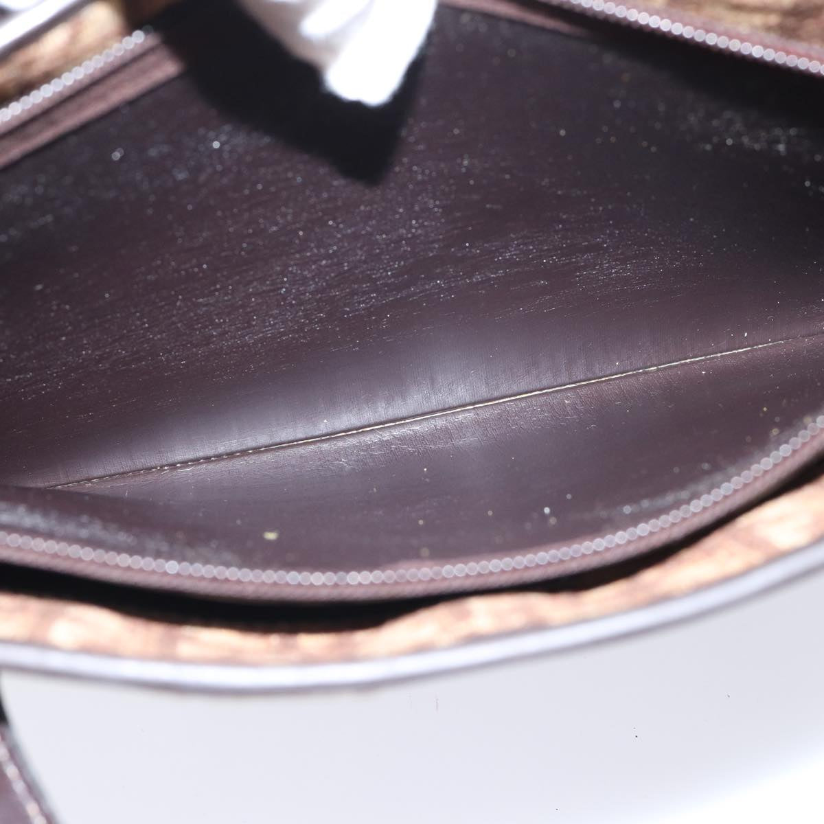 Christian Dior Trotter Canvas Hand Bag