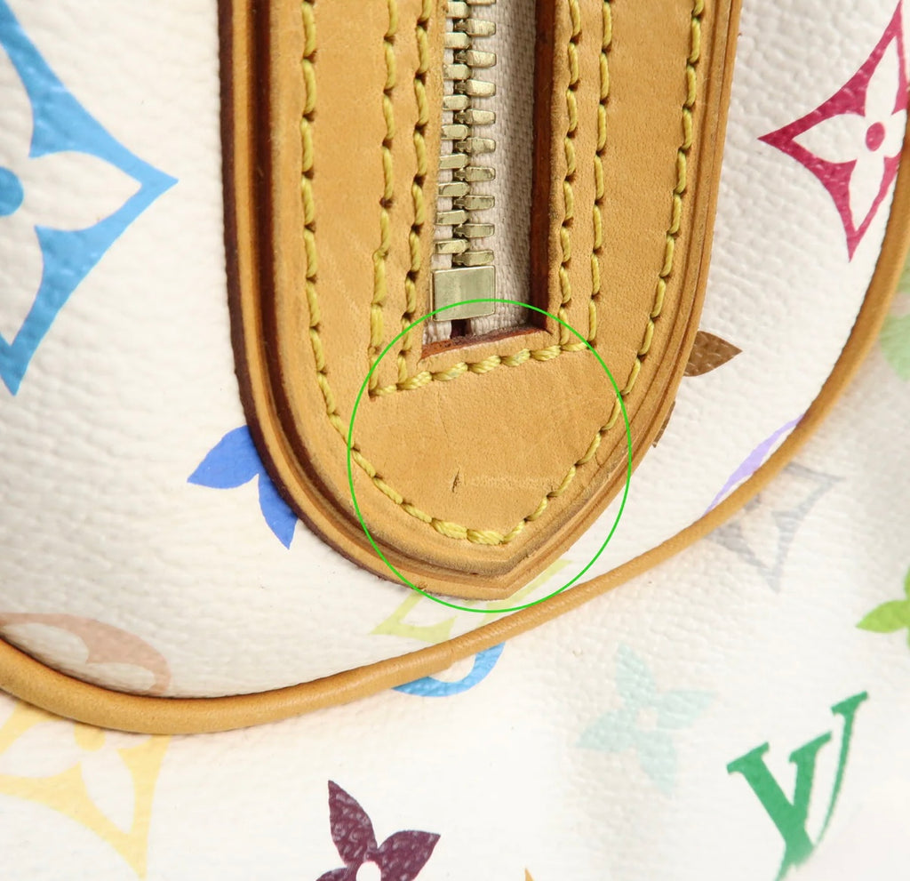 Louis Vuitton X Takashi Murakami Multi Colour Priscilla Bag